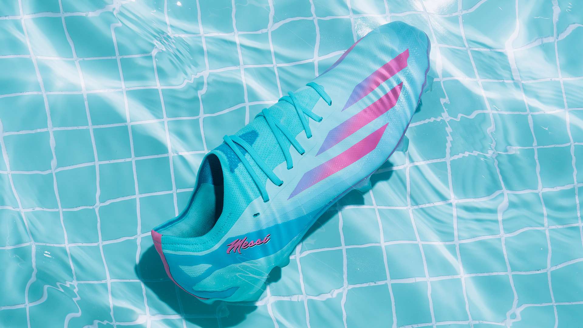 在本赛季的 在本赛季的