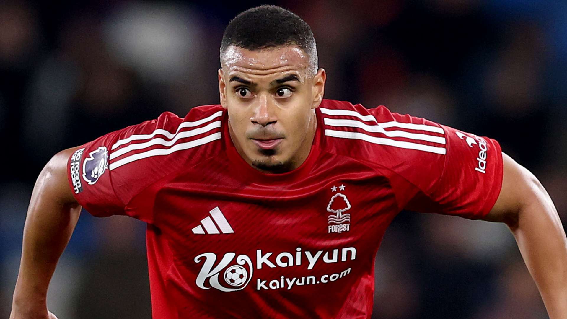 这不仅反映 这不仅反映